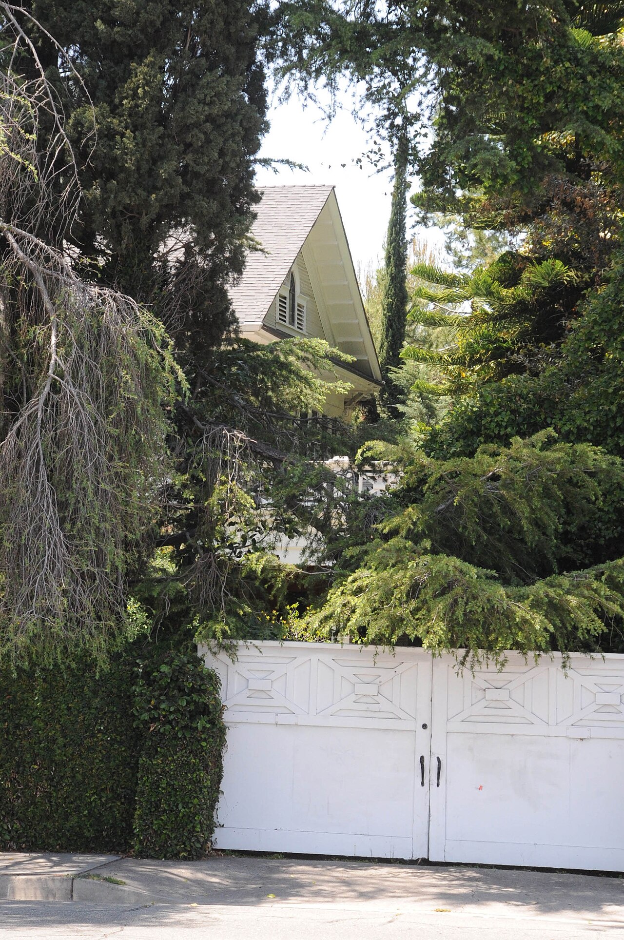 Insurance in Coronado: Home, Health & Auto