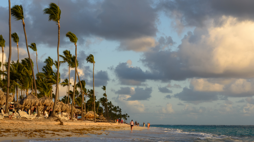 Playa Gorgona Beach Guide