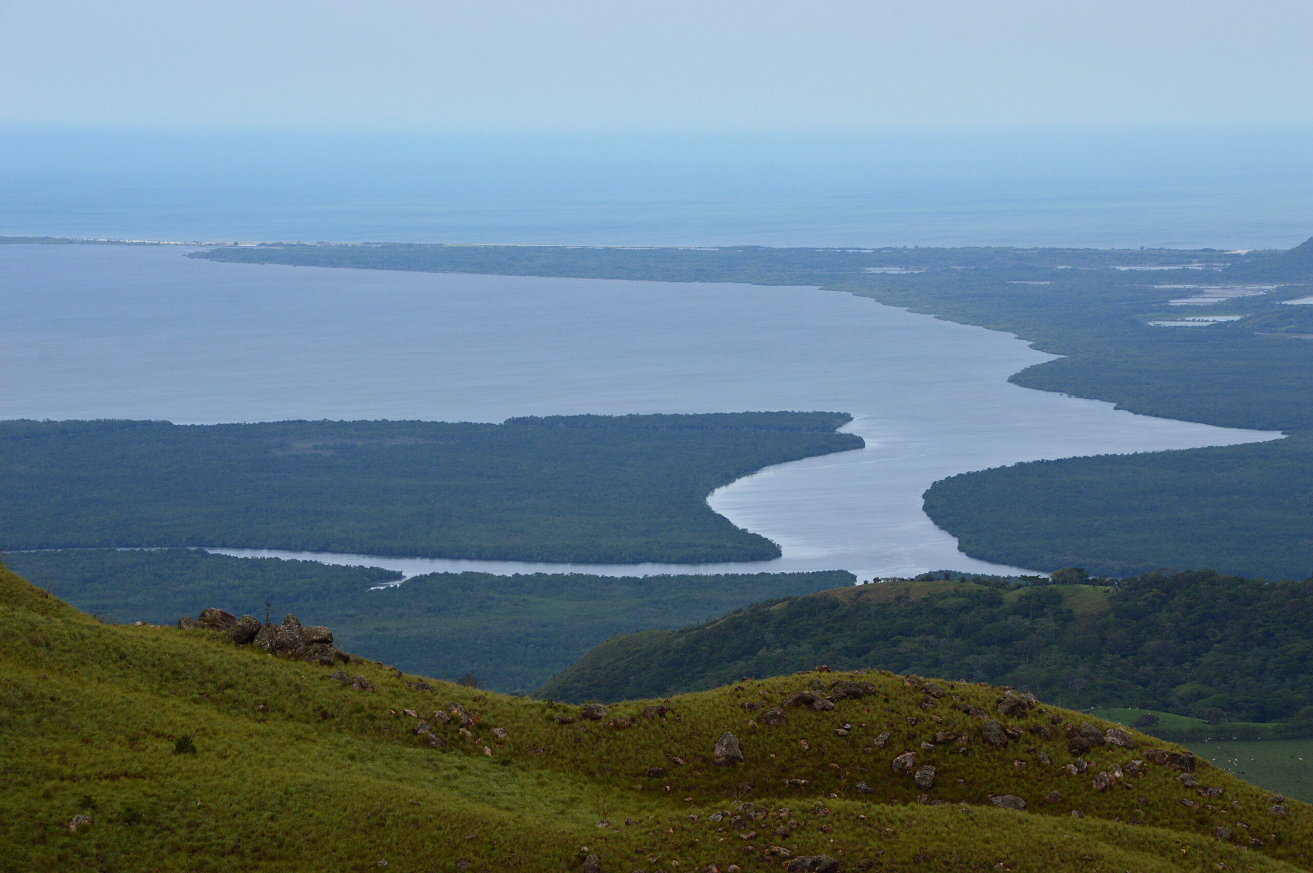 Mangroves and Tidal Flats of Punta Chame, Panama