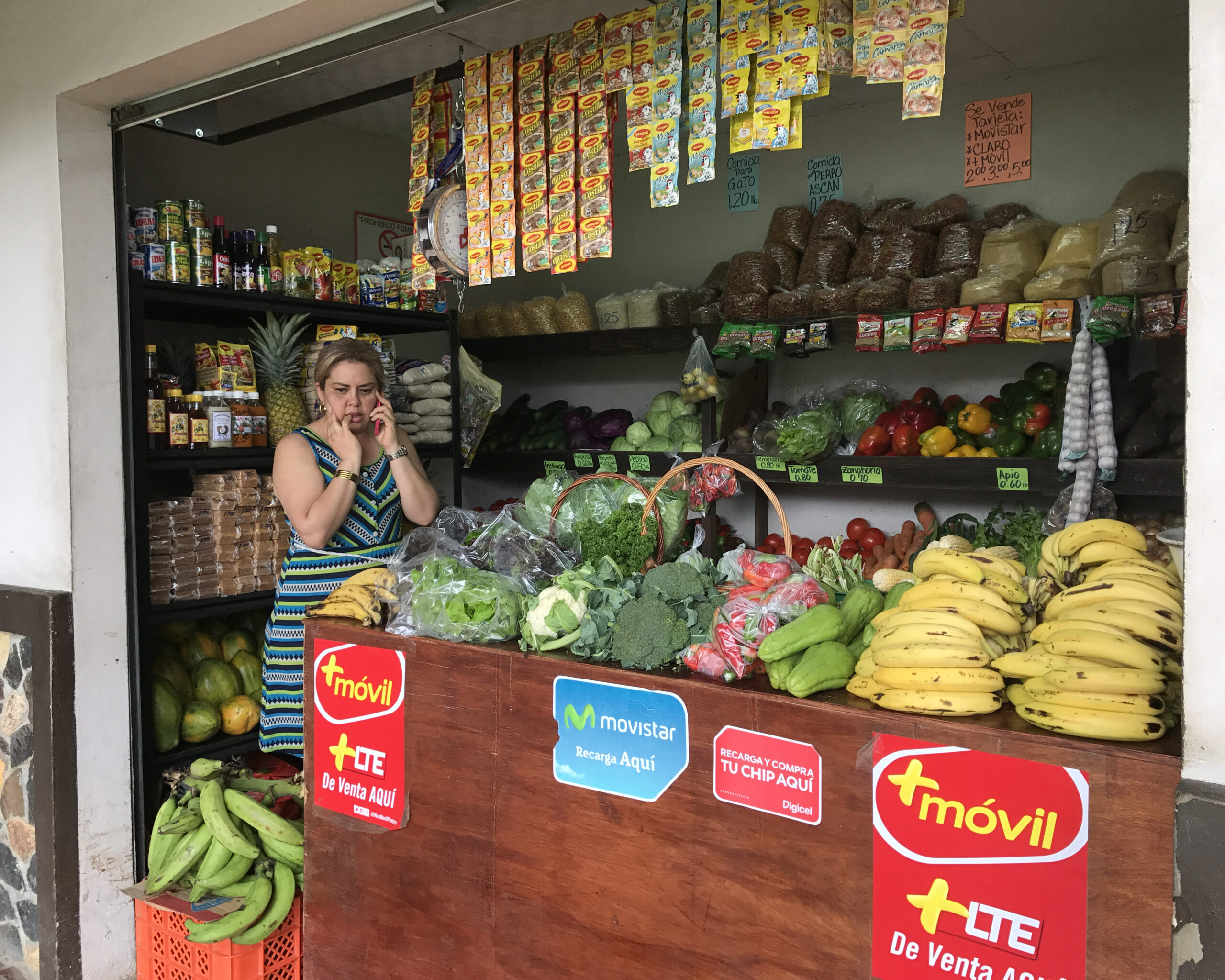 Markets & Shopping in Nueva Gorgona, Panama